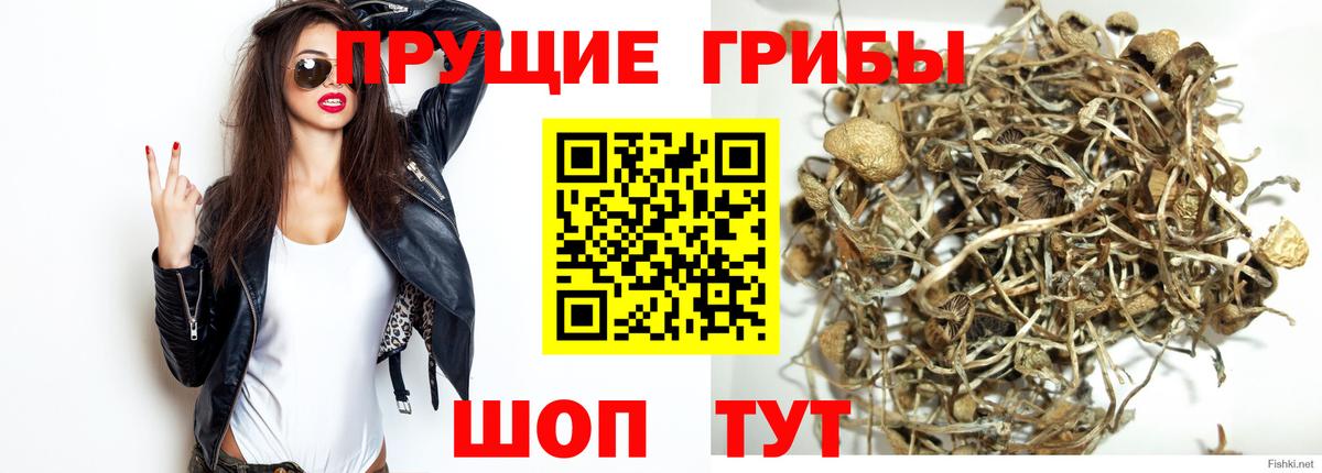 Галлюциногенные грибы GOLDEN TEACHER Шали