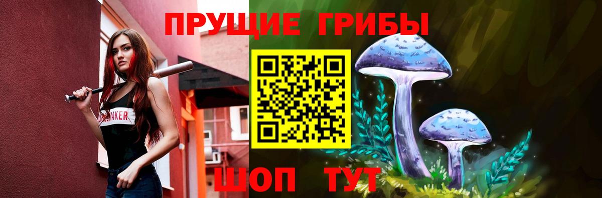 Шали  Псилоцибиновые грибы прущие грибы  Вход с VPN 